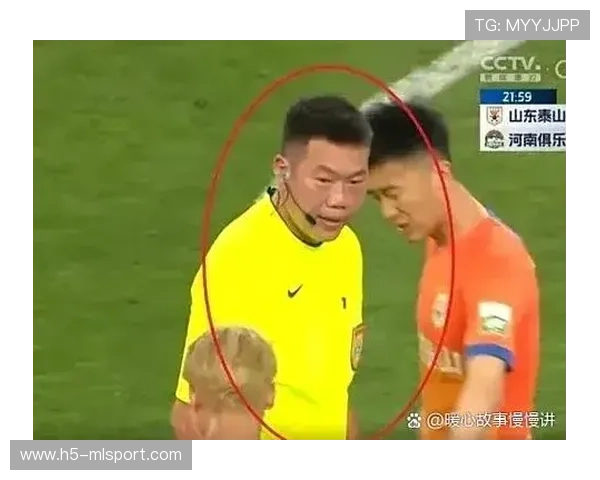 职业联赛的裁判执法客观性